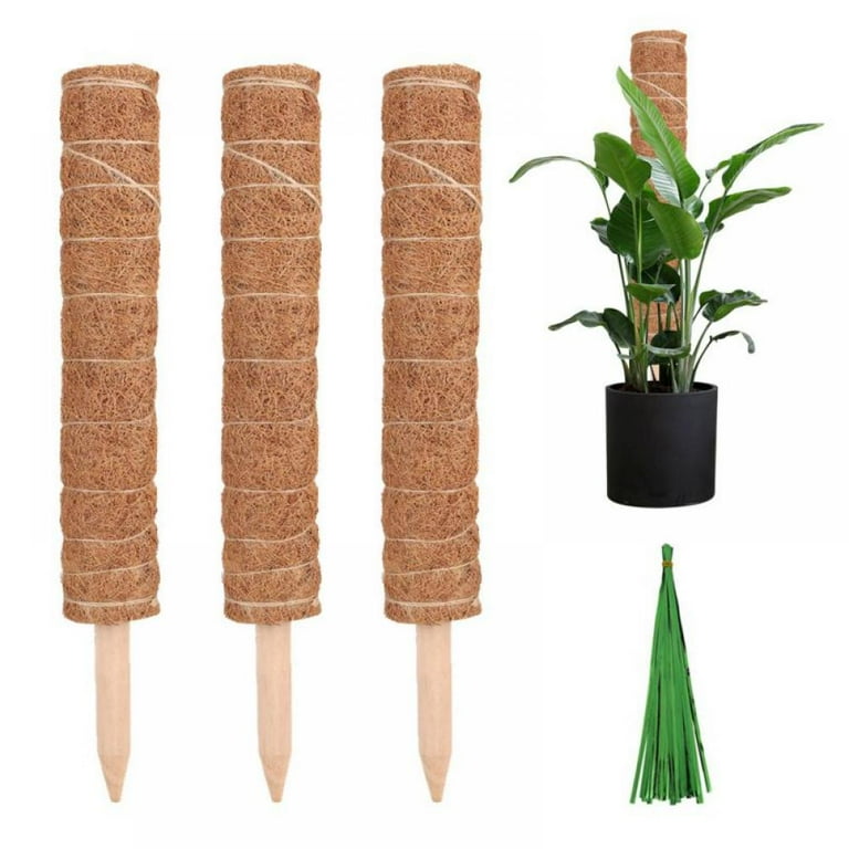 3-Pack, 48-Inch Moss Poles & 20-Inch Moss Sticks, Coir Totem