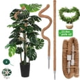 thumbnail image 1 of Moss Pole for Climbing Plants, 2 Pack 23.6 Inch Bendable Plant Support Stakes with Coco Coir & Jute Rope, Indoor Trellis for Monstera, Pothos, Philodendron Houseplants, 1 of 8