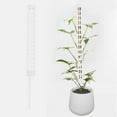 thumbnail image 1 of Moss Pole for Climbing Plants | Monstera & Ivy Support Stick | Self-Watering Semi-Cylindrical Design | Expandable Modular Plastic Moss Column for Indoor & Outdoor Gardening, 1 of 4