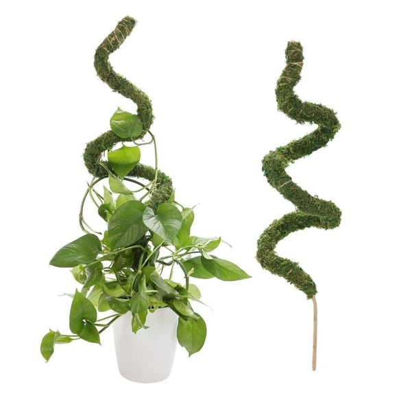 Moss Pole Monstera Plant Support ，Tall Bendable Moss Poles For Climbing Plants Indoor Long Plant Pole Sticks For Pothos Live Plant（2-piece set）