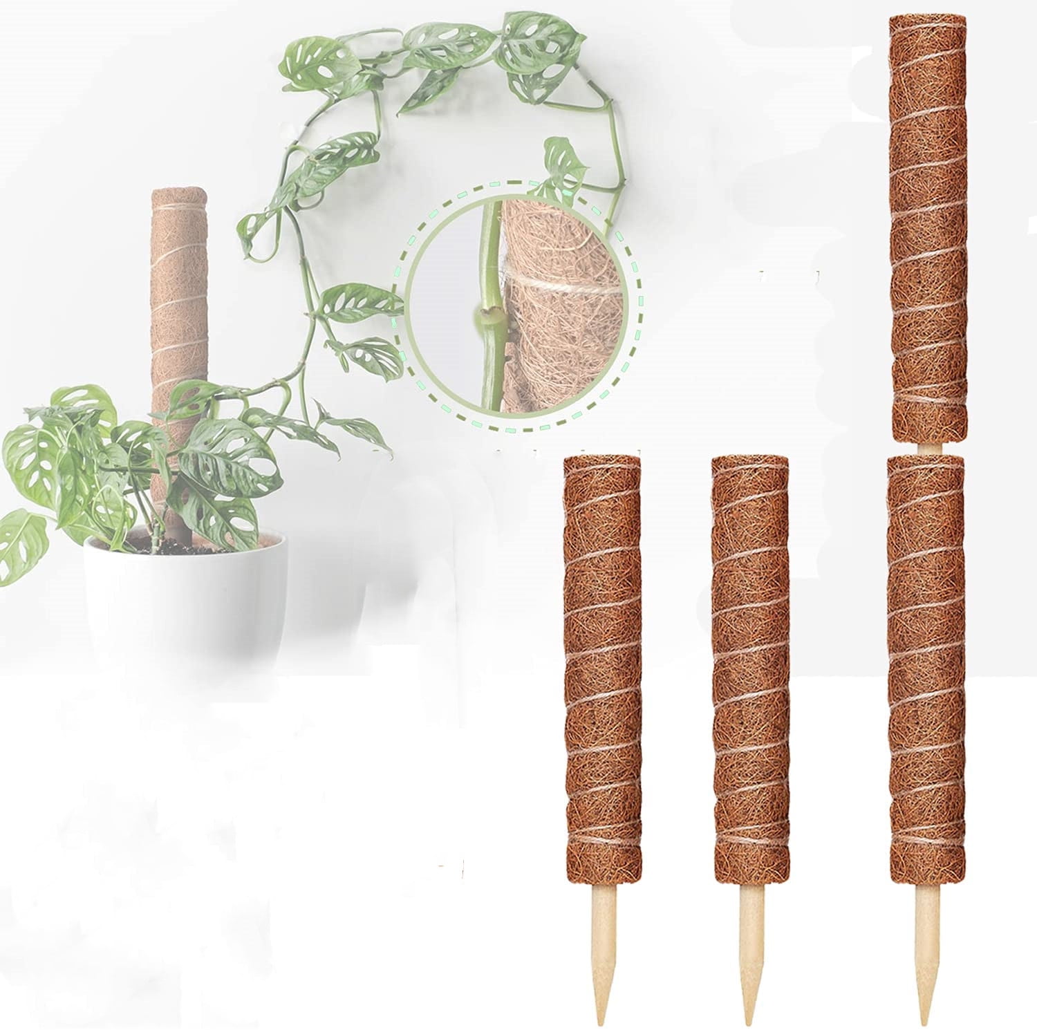 ミ*ミ様 MOSS STICK U5 154cm Moss Pole - Moss Plant Sticks - Triani 4 Moss Stick for