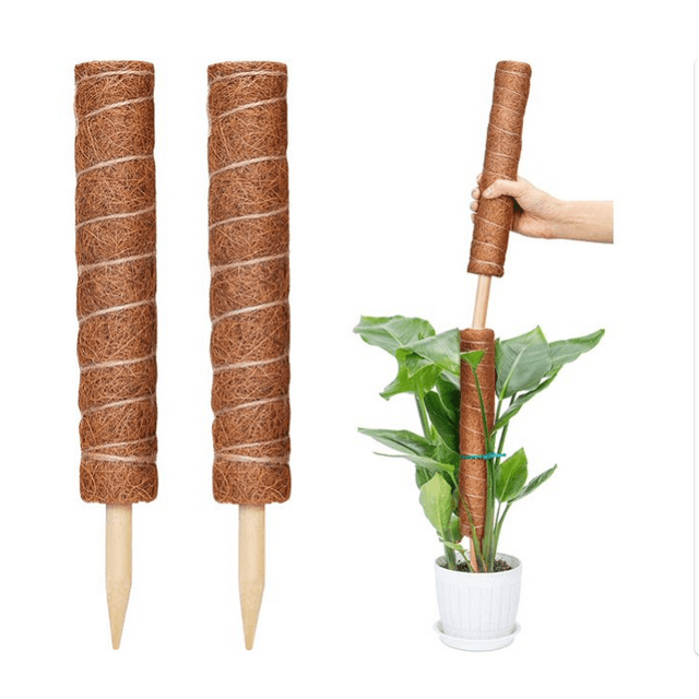 Moss Pole Moss Stick for Potted Plants, 2 Pcs Plant Support for
