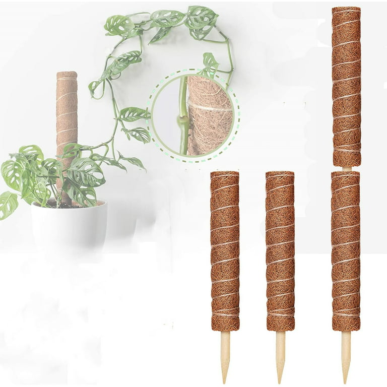 Moss Pole - Moss Plant Sticks - Triani 4 Moss Stick for Potted