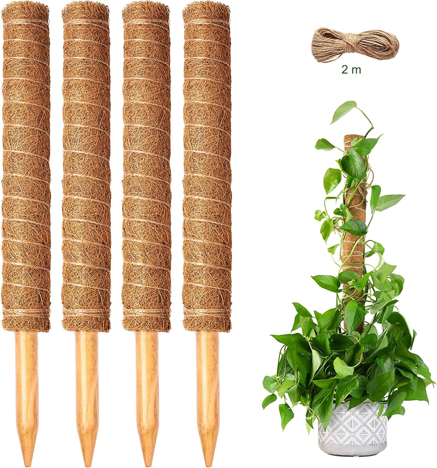 Moss Pole for Plants RUseeN - Moss Poles for Climbing Plants