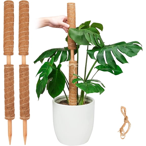 Moss Pole for Plants Monstera, Extendable Plant Sticks Support, 4Pcs | 15.7'', Help Plants Grow Better, Natural Coconut Plam Fiber, Easy and Fast Installation, Suitable for Indoor Outdoor Plants