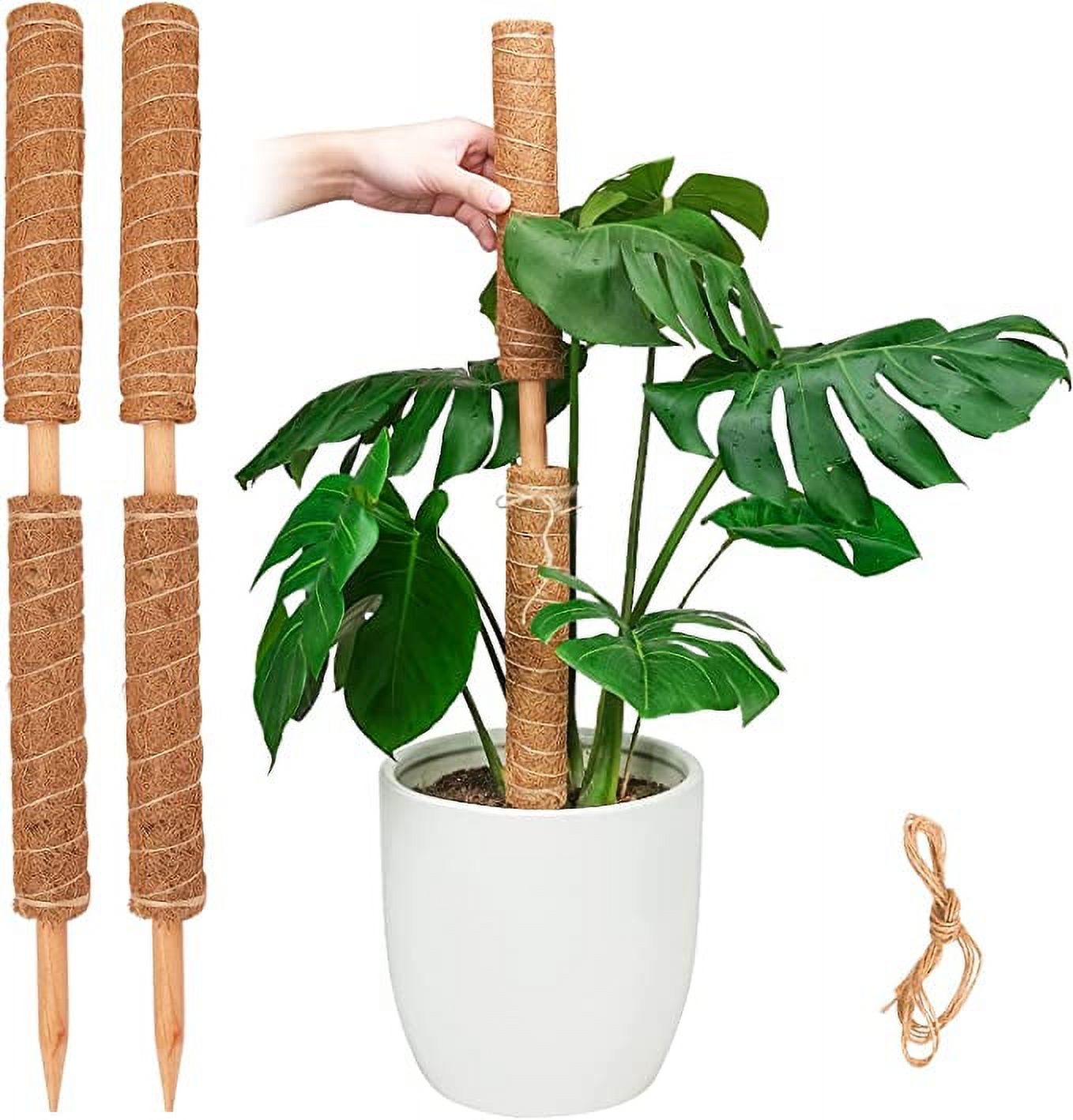 Moss Pole for Plants Monstera, Extendable Plant Sticks Support, Plant