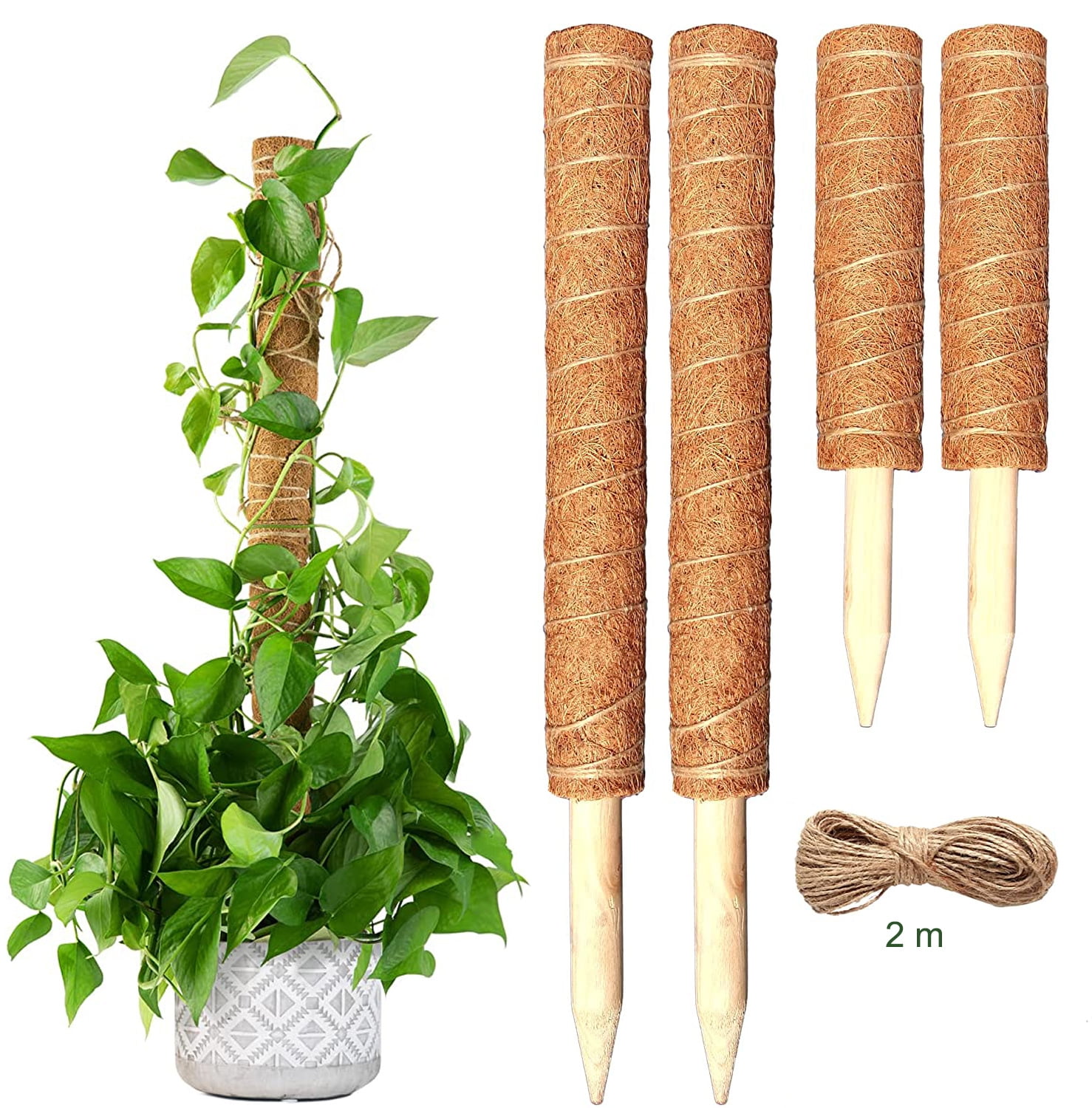 【新品未使用】MOSS STICK SW50 24-25 Moss Stick