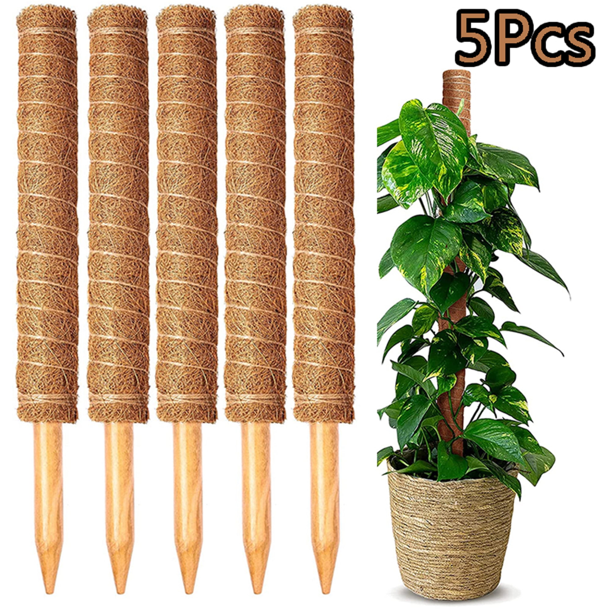 Moss Pole for Plant Monstera 41 Inch, Elbourn 5Pcs 40CM Moss