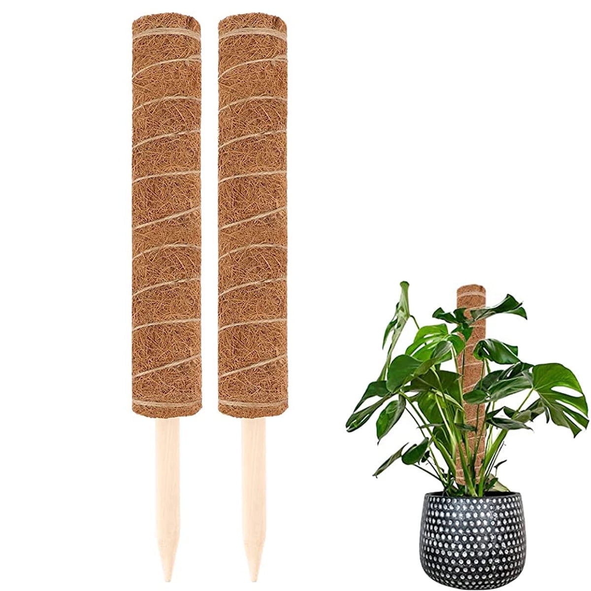 Moss Pole for Plants RUseeN - Moss Poles for Climbing Plants