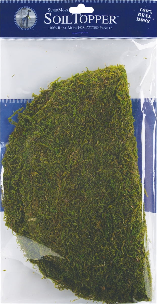 Super Moss Moss Pot Toppers 10 3/Pkg-Green - 759834263104