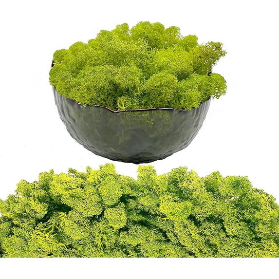 Moss Preserved Artificial Moss 8.8 oz Natural Fresh Green Moss for Craft Arts Floral Project Wall Decor Table Decor Wedding Centerpieces Garden Terrariums Decoration
