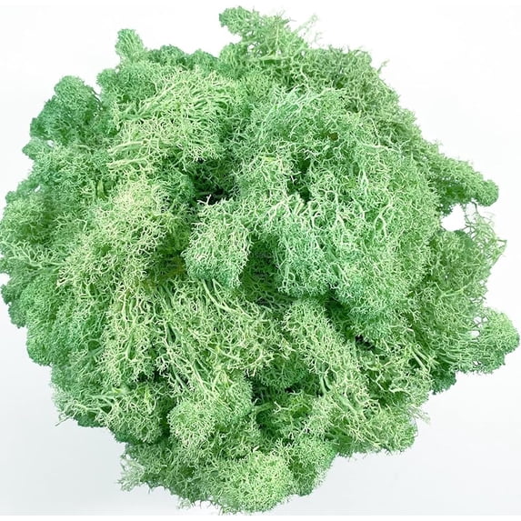 Moss Preserved Artificial Moss 8.8 oz Natural Fresh Green Moss for Craft Arts Floral Project Wall Decor Table Decor Wedding Centerpieces Garden Terrariums Decoration