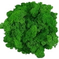 thumbnail image 1 of Moss Preserved Artificial Moss 8.8 oz Natural Fresh Green Moss for Craft Arts Floral Project Wall Decor Table Decor Wedding Centerpieces Garden Terrariums Decoration, 1 of 6