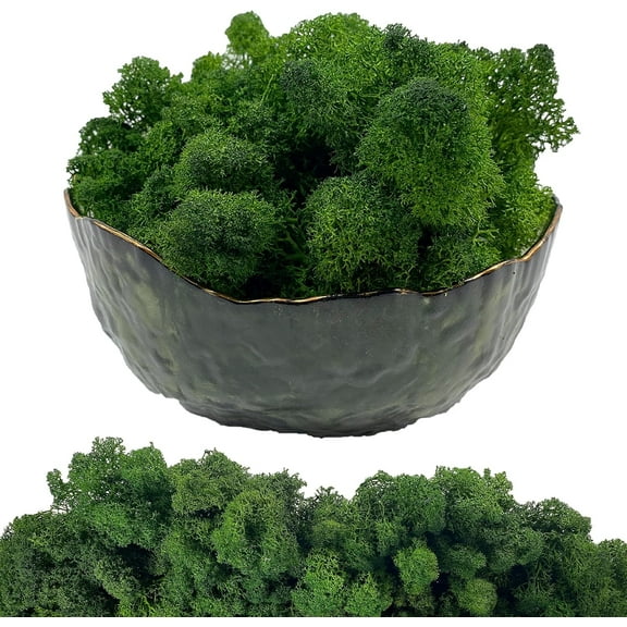 Moss Preserved Artificial Moss 8.8 oz Natural Fresh Green Moss for Craft Arts Floral Project Wall Decor Table Decor Wedding Centerpieces Garden Terrariums Decoration