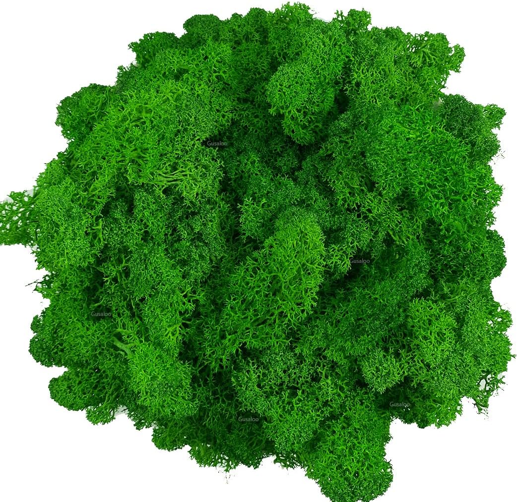 Artificial Moss For Planters, Artificial Green Moss For Potted Plants Craft Decorative Moss Decor Dried Moss 1 1 1 8 3 5 Oz