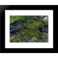 thumbnail image 1 of Moss. Roots 20x24 Framed Art Print by Ivan Shishkin, 1 of 2