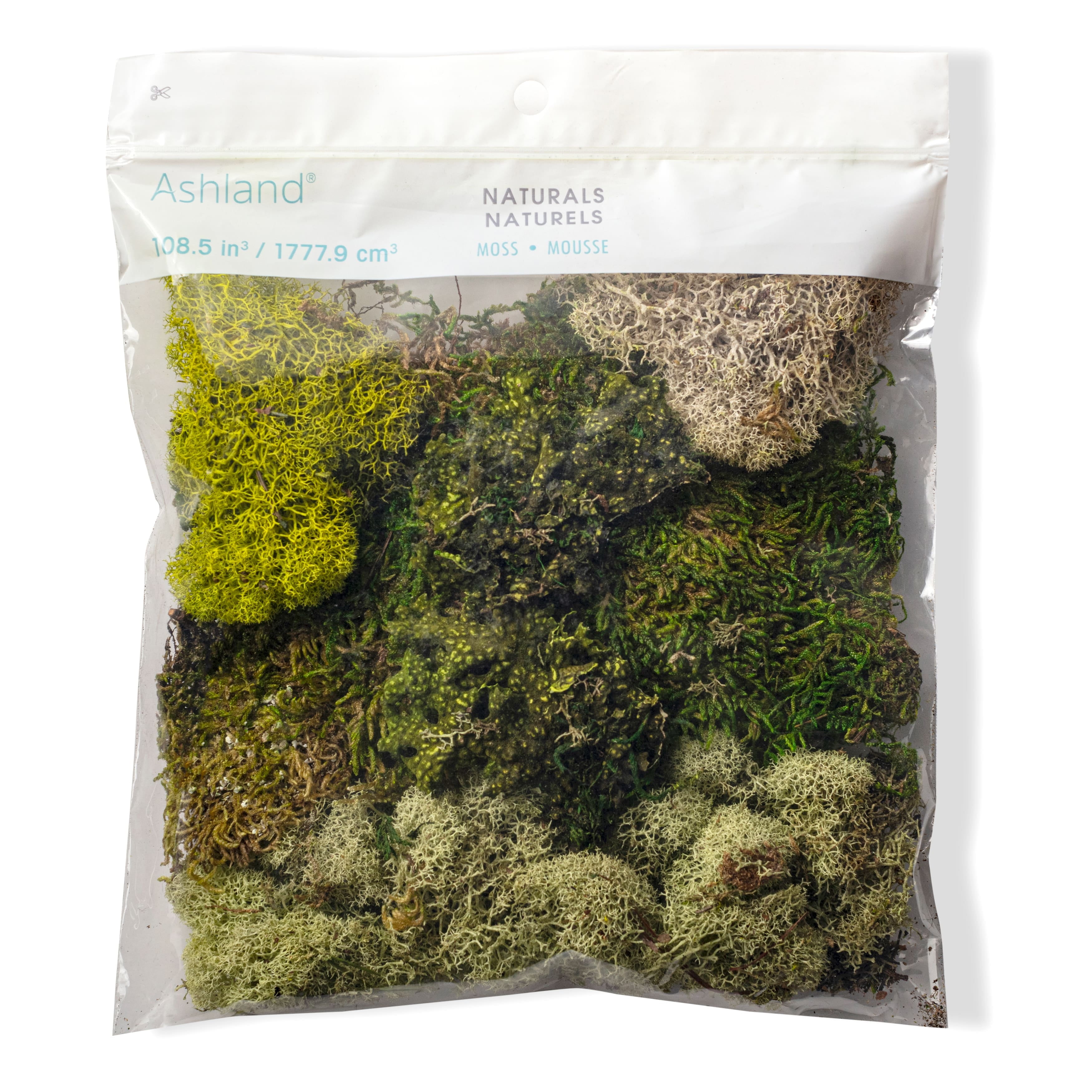 QUALITY GROWERS Moss Variety Pack by Ashland