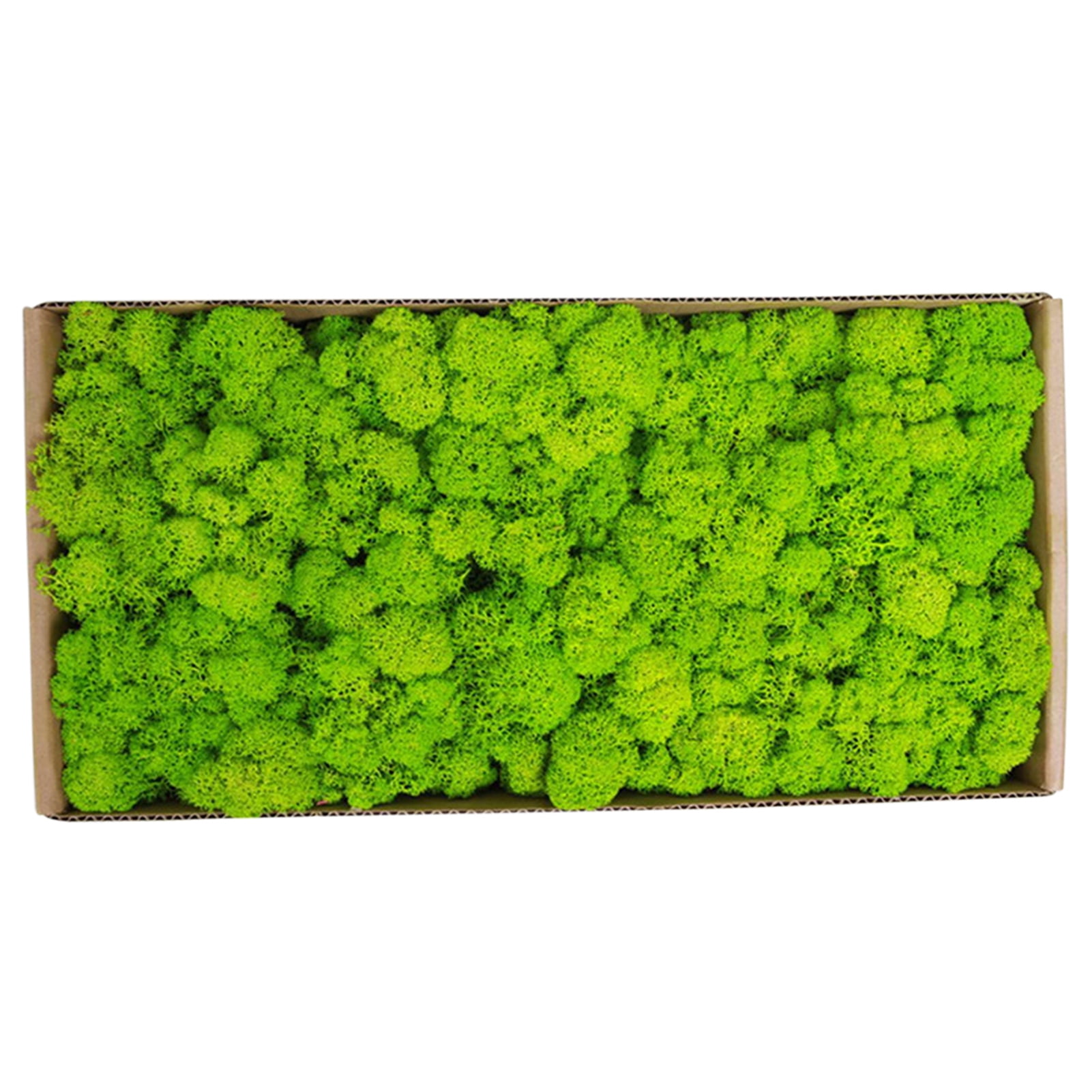 Moss Wall Decor Indoor Preserved Moss Gardenning Art Wall Decor Moss Bulk Micro Landscape Decorative Props