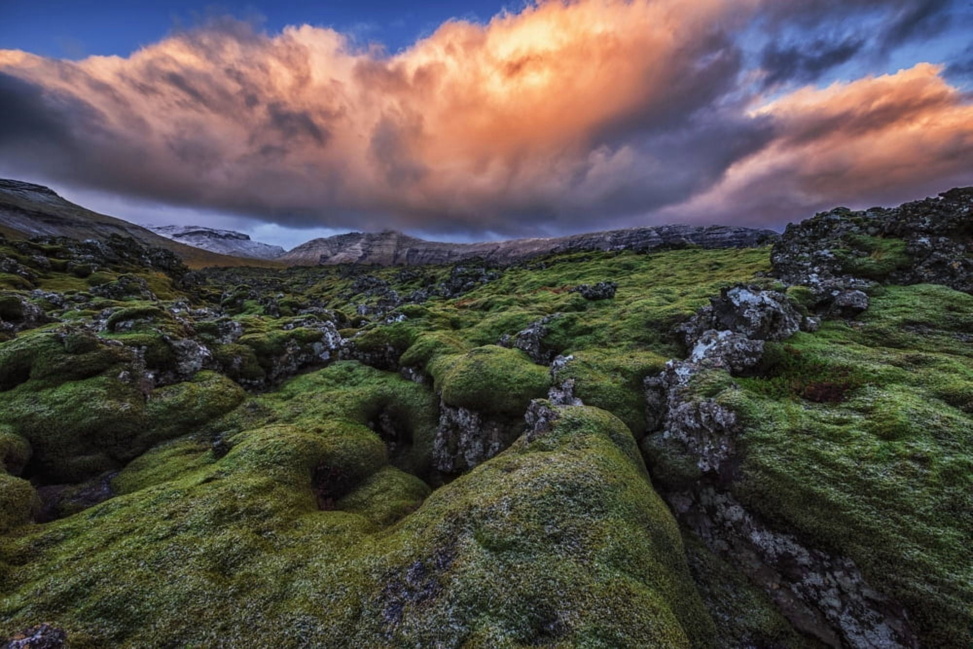 Moss covered lava flow at sunrise on the Snaefellsness Peninsula Iceland Canvas Art - Robert Postma Design Pics (19 x 12)