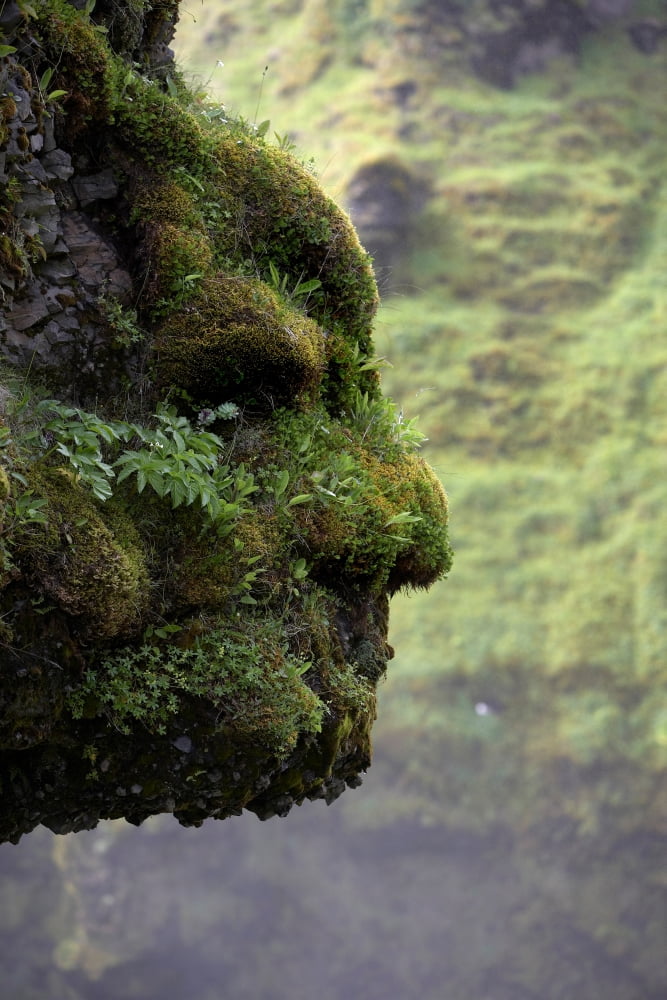 Moss covered rock shaped like a face by Skogarfoss Waterfalls Iceland Canvas Art - Panoramic Images (36 x 12)