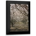 thumbnail image 1 of Mossholder, Tim 11x14 Black Modern Framed Museum Art Print Titled - Almond Orchard, 1 of 5