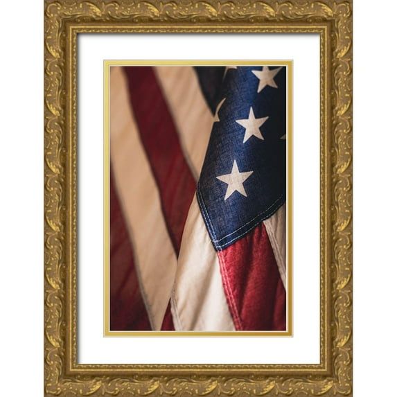 Mossholder, Tim 11x14 Gold Ornate Wood Framed with Double Matting Museum Art Print Titled - USA Flag