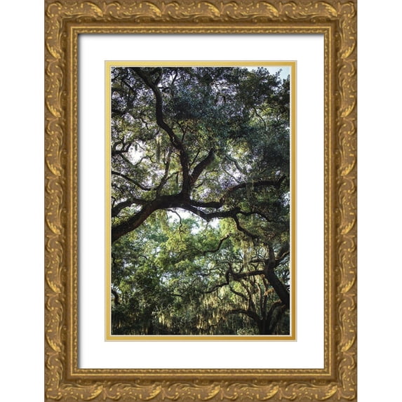 Mossholder, Tim 13x18 Gold Ornate Wood Framed with Double Matting Museum Art Print Titled - Oaks