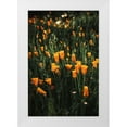 thumbnail image 1 of Mossholder, Tim 13x18 White Modern Wood Framed Museum Art Print Titled - Golden Poppies, 1 of 4