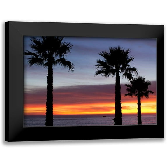 Mossholder, Tim 14x11 Black Modern Framed Museum Art Print Titled - Palms at Sunset