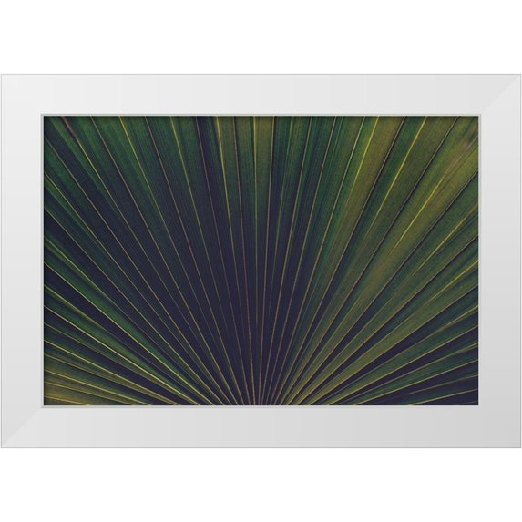 Mossholder, Tim 14x11 White Modern Wood Framed Museum Art Print Titled - Palm Textures