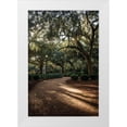 thumbnail image 1 of Mossholder, Tim 17x24 White Modern Wood Framed Museum Art Print Titled - Oaks in Savannah, 1 of 4