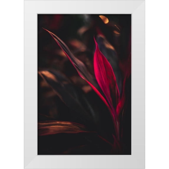 Mossholder, Tim 17x24 White Modern Wood Framed Museum Art Print Titled - Red Plan at Dusk