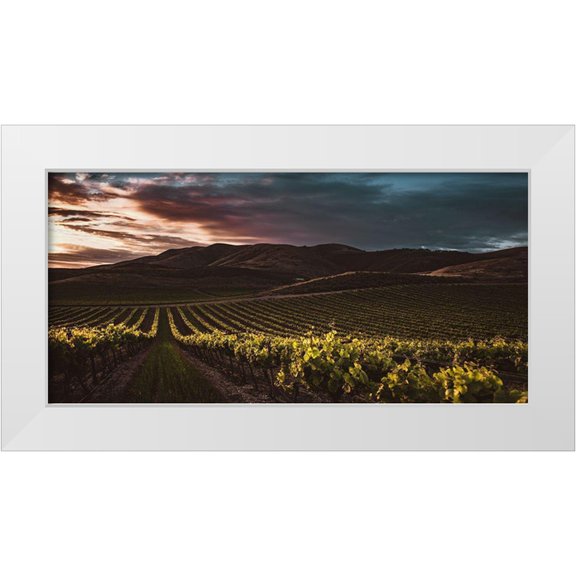 Mossholder, Tim 18x11 White Modern Wood Framed Museum Art Print Titled - Vineyards