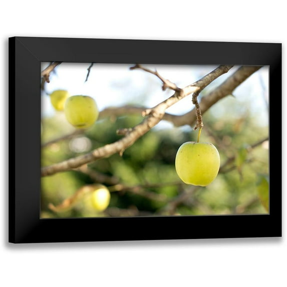 Mossholder, Tim 18x13 Black Modern Framed Museum Art Print Titled - Apples