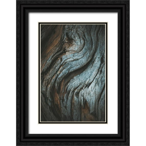 Mossholder, Tim 23x32 Black Ornate Wood Framed with Double Matting Museum Art Print Titled - Eucalyptus Texture