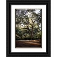 thumbnail image 1 of Mossholder, Tim 23x32 Black Ornate Wood Framed with Double Matting Museum Art Print Titled - Oaks in Savannah, 1 of 4