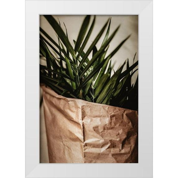 Mossholder, Tim 23x32 White Modern Wood Framed Museum Art Print Titled - Palms a Craft Paper