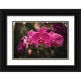 thumbnail image 1 of Mossholder, Tim 24x17 Black Ornate Wood Framed with Double Matting Museum Art Print Titled - Hot Pink Orchid, 1 of 4