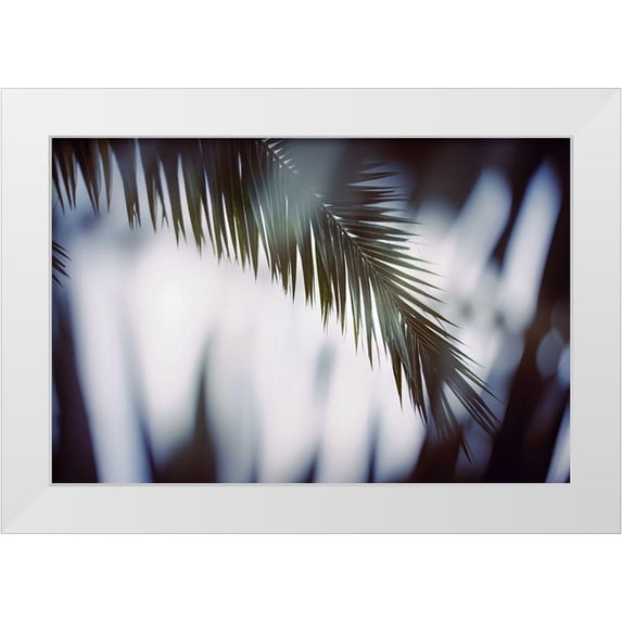 Mossholder, Tim 24x17 White Modern Wood Framed Museum Art Print Titled - Palm Branches