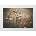 thumbnail image 1 of Mossholder, Tim 32x23 White Modern Wood Framed Museum Art Print Titled - Weedy, 1 of 4