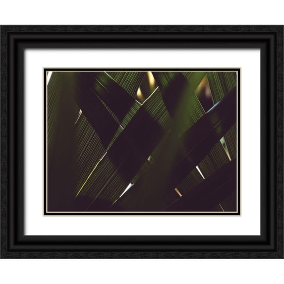 Mossholder, Tim 32x25 Black Ornate Wood Framed with Double Matting Museum Art Print Titled - Untitled