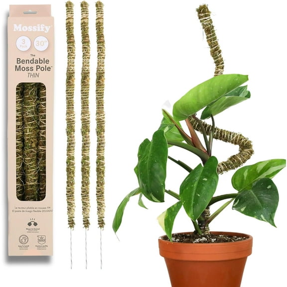 Mossify Bendable Moss Pole 3 Pack 30'',Monstera Plant Support - Natural Forest Moss Poles for Climbing Plants - Flexible & Thin Plant Sticks for Monstera Support - Indoor & Outdoor Plants Mosses Pole