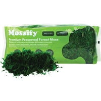 Mossify Preserved Spanish Moss - Pack of 5