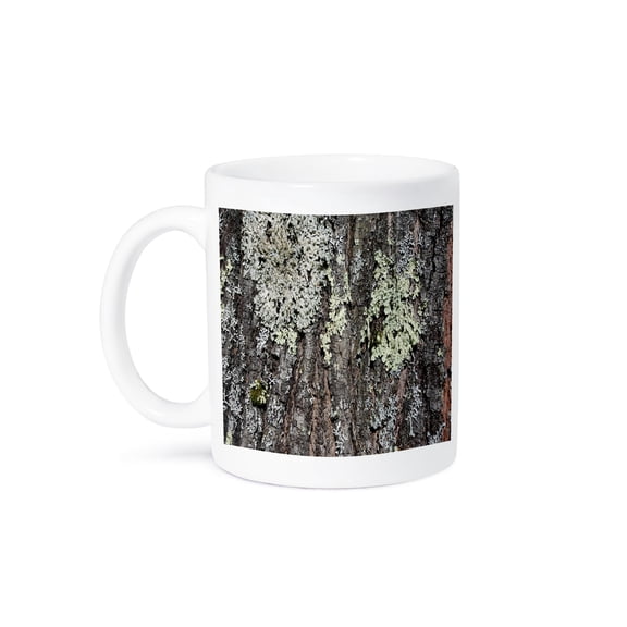 3drose, Mossy Bark Oak Tree, 15oz Mug
