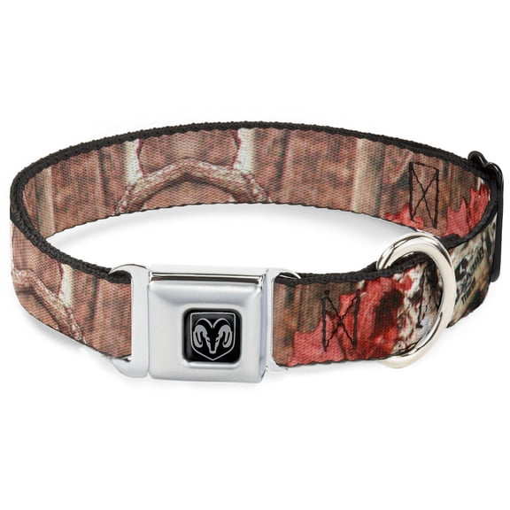 Mossy Oak Pet Collar, Dog Collar Metal Seatbelt Buckle, Mossy Oak Break Up Infinity, 11 to 16.5 Inches 1.0 Inch Wide