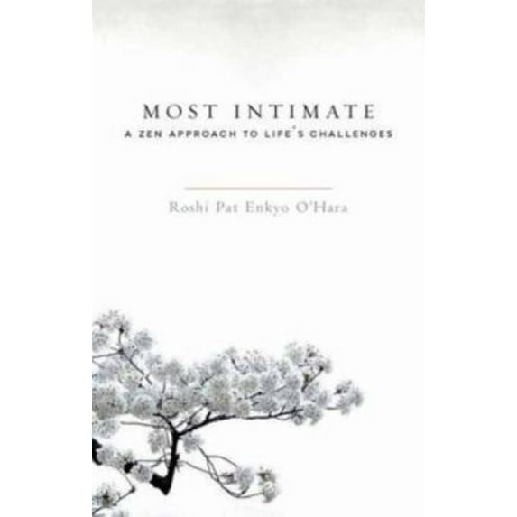 Pre-Owned Most Intimate : A Zen Approach to Life's Challenges (Paperback) 9781590309742