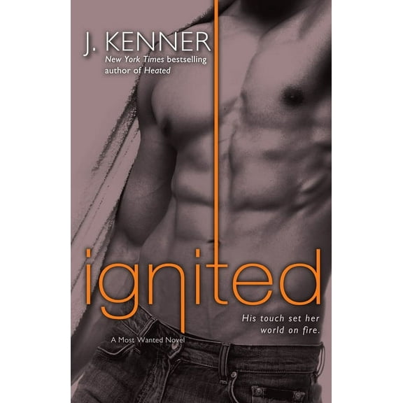 Most Wanted (Potomac) Ignited: A Most Wanted Novel, Book 3, (Paperback)