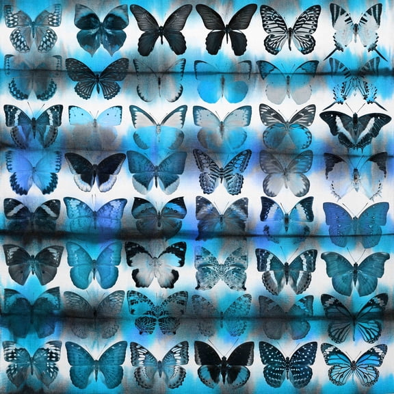 Moth Blue by Parvez Taj Painting Print on Wrapped Canvas