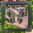 thumbnail image 1 of Moth Butterfly Display Real Frame Shadow Box Insect Art Wall Decor Curiosity Cabinet Nature Decoration Gift For Women Desk Tabletop Or Wall Hanging Home Decor K16-42-KINH, 1 of 4