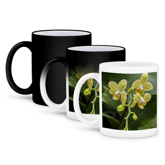 Moth Orchid. , 11oz Magic Transforming Mug